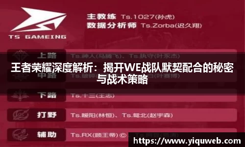 王者荣耀深度解析:揭开WE战队默契配合的秘密与战术策略